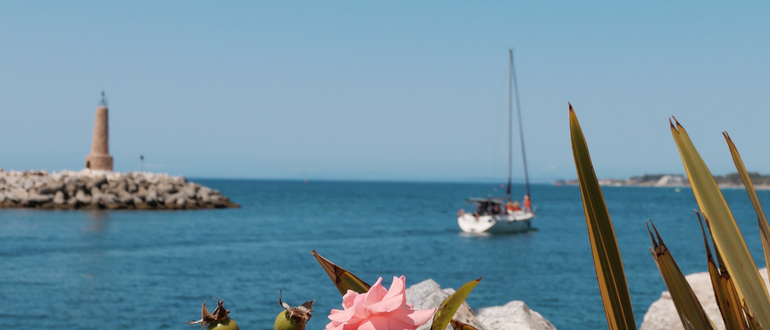 Discovering Marbella's Most Exclusive Addresses: Your Guide to Luxury Neighborhoods